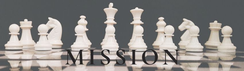 Vision e Mission