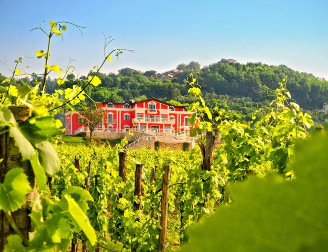 0tenuta-ippocrate-avellino-vista-vigneto-collina-1